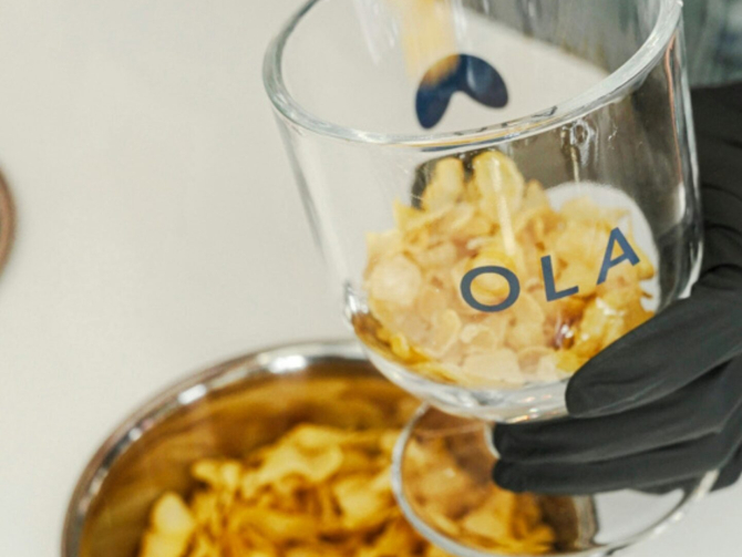 buttercup-fin-V8uW6N1GLk8-unsplash