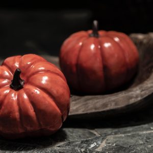 a couple of red tomatoes