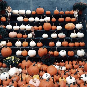 round brown and white decor lot