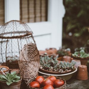 apples in basket on table beside plants