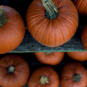 selective focus photography of squash