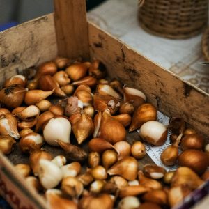 a box filled with lots of nuts on top of a table