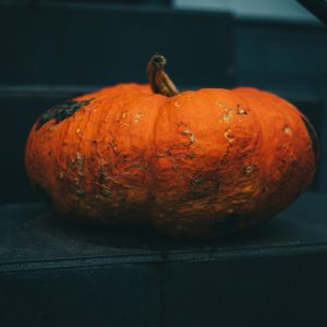 a pumpkin with a stem