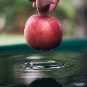 person holding honeycrisp apple close-up photo