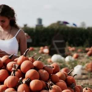 woman choosing from pile of pumpkins