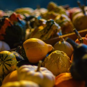 pile of squashes