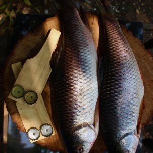 silver fish on brown wooden table