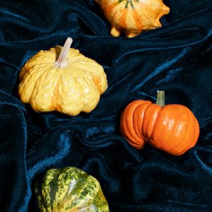 a group of pumpkins sitting on top of a blue cloth