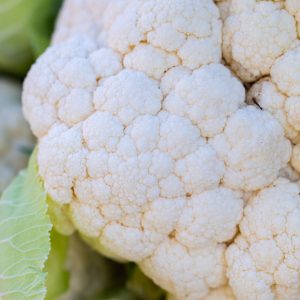 a close up of a cauliflower plant with leaves